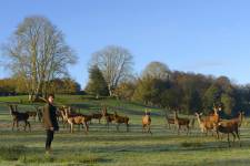 Patrice OLIVIER - PATRICE OLIVIER