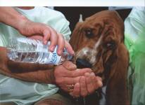 Christine LE GUYADEC - Christine LE GUYADEC