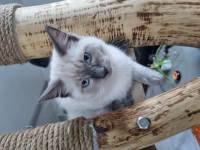 Christine LE GUYADEC - Christine LE GUYADEC