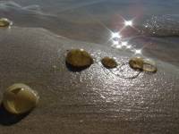 Christine LE GUYADEC - Christine LE GUYADEC