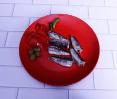 Didier FAES - DIDIER FAES