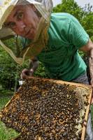 Patrice OLIVIER - PATRICE OLIVIER