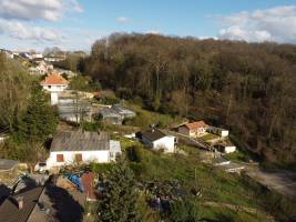 Alicia ROSE - ALICIA ROSE PHOTO