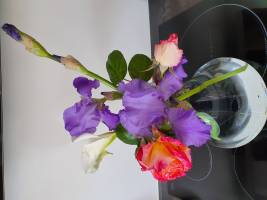 Christine LE GUYADEC - Christine LE GUYADEC