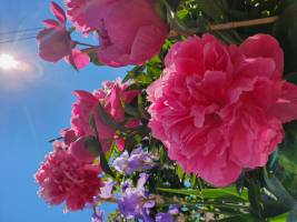 Christine LE GUYADEC - Christine LE GUYADEC