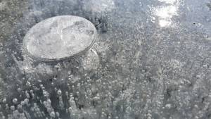 Christine LE GUYADEC - Christine LE GUYADEC