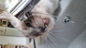 Christine LE GUYADEC - Christine LE GUYADEC