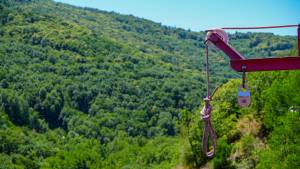 Alexandre LABADIE - LABADIE ALEXANDRE